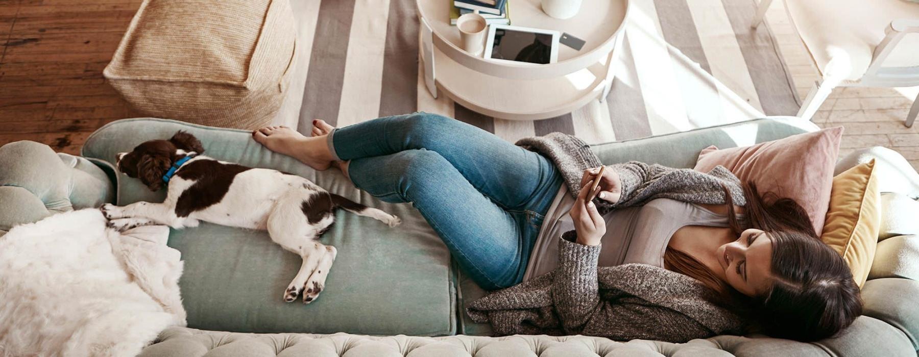 overhead view of  a woman texting as she lies on a couch with a dog at her feet