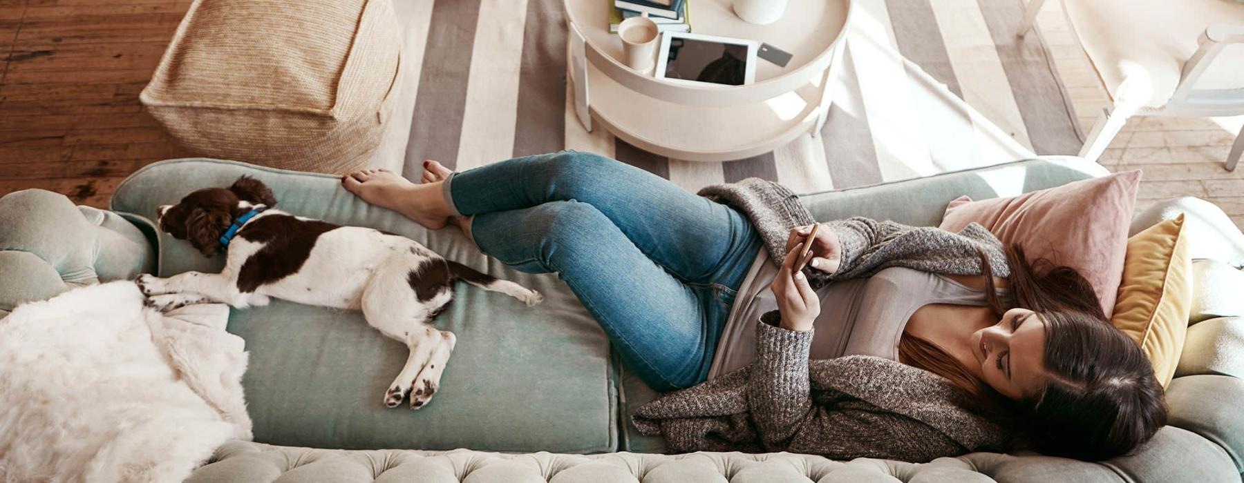 overhead view of  a woman texting as she lies on a couch with a dog at her feet